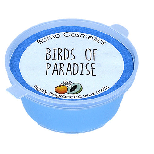 MINI MELT - 50 BIRD OF PARADISE