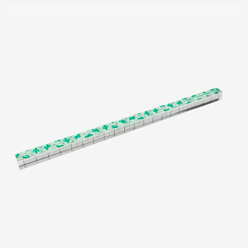 BIBBIDI BOBBIDI BOO RULER - RIGHELLO CACTUS