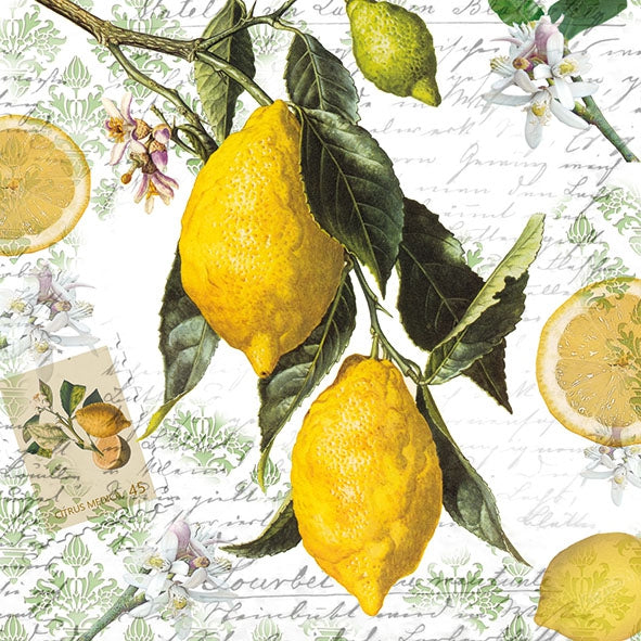 TOVAGLIOLI LEMON ambiente