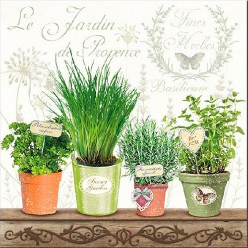 TOVAGLIOLI CARTA LE JARDIN DE PROVENCE