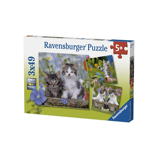 PUZZLE 3X49 - GATTINI TIGRATI