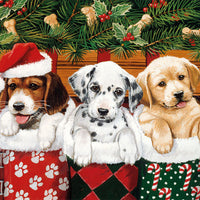 DOGGIES
