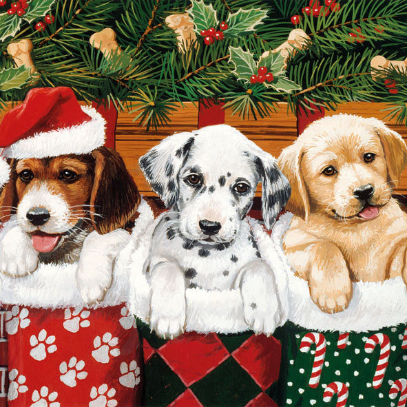 DOGGIES