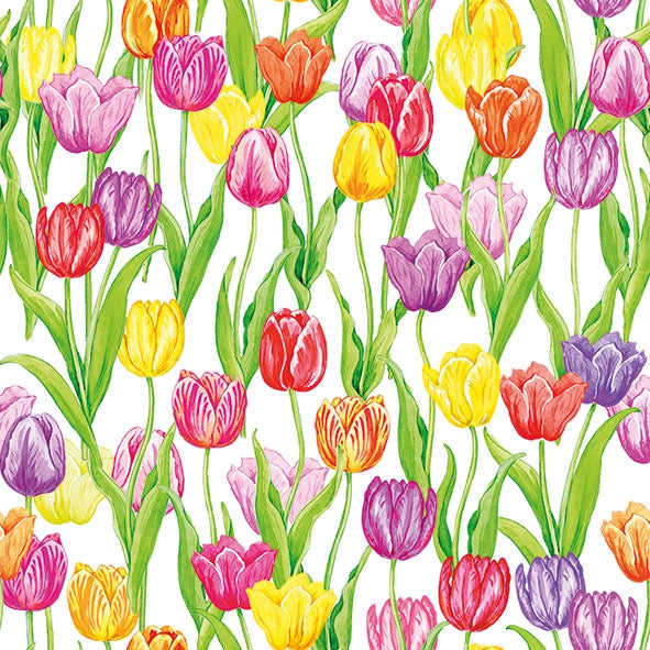 TOVAGLIOLI CARTA MAGIC TULIPS