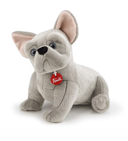 BULLDOG FRANCESE BERNARD M