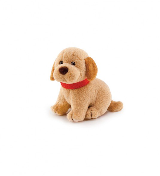 LABRADOR SWEET COLLECTION TRUDI