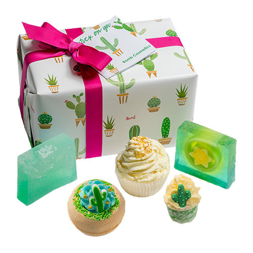 GIFT PACK - STUCK ON YOU - CACTUS