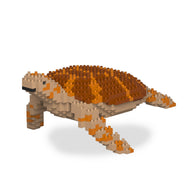 jekca sea turtle  