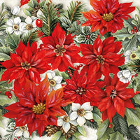 POINSETTIA ALL OVER
