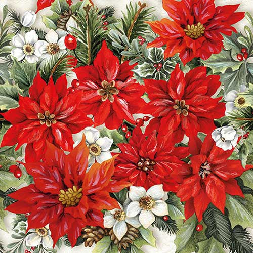 POINSETTIA ALL OVER