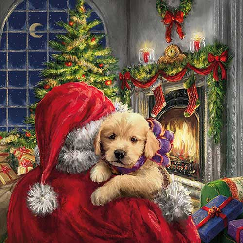 TOVAGLIOLI CARTA NATALE PUPPY AT FIRE