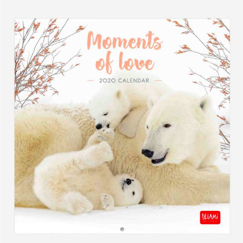 CALENDARIO 2020 18X18 BABY ANIMALS