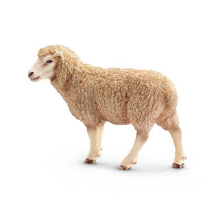 PECORA
