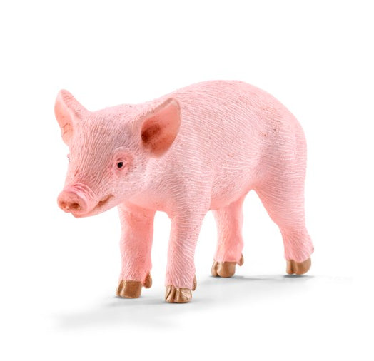 MAIALINO IN PIEDI