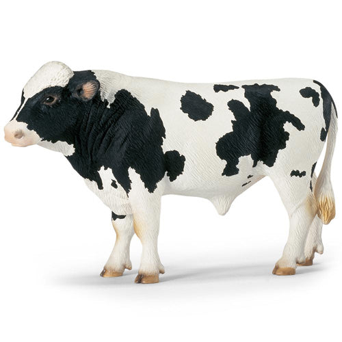 TORO HOLSTEIN