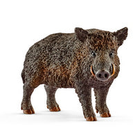 CINGHIALE