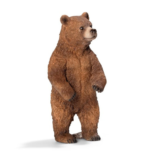 ORSO GRIZZLY FEMMINA