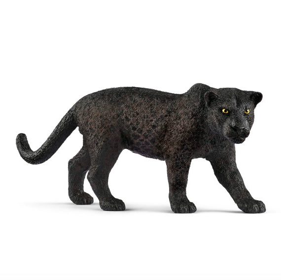 PANTERA NERA