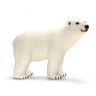 ORSO POLARE