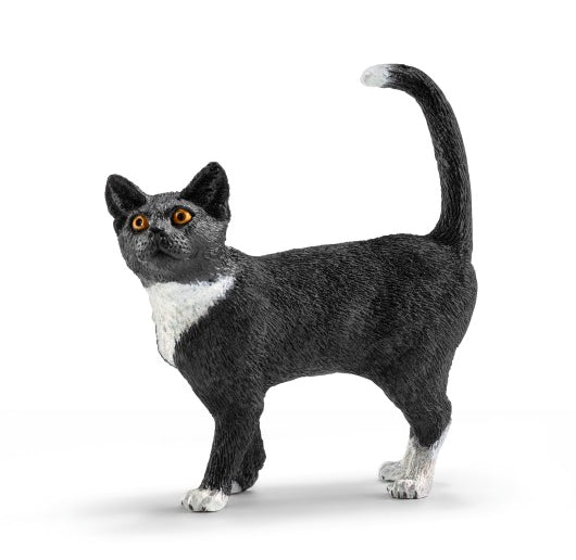 GATTO IN PIEDI