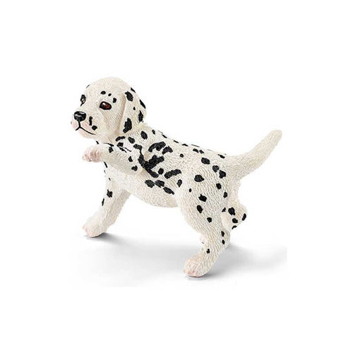 CUCCIOLO DI DALMATA