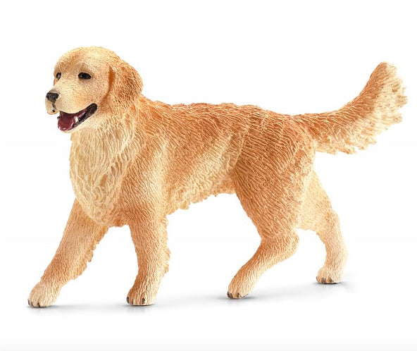 GOLDEN RETRIVER FEMMINA