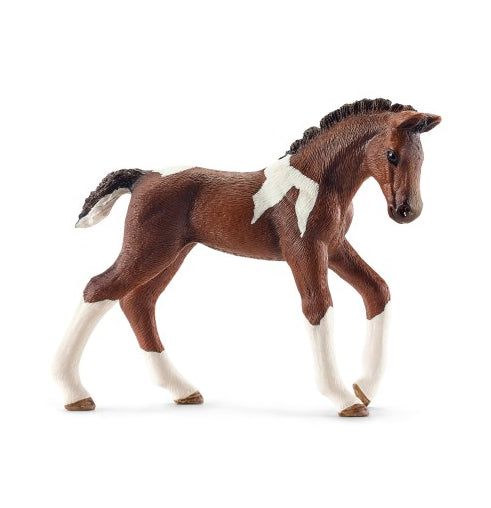 PULEDRO TRAKEHNER