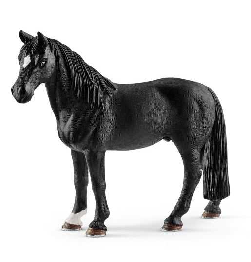 CASTRONE TENNESSEE WALKER
