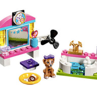 COCCOLE PER CUCCIOLI FRIENDS 41302