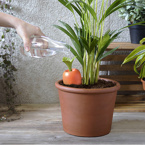 CARE-IT - CAROTA SELF WATERING