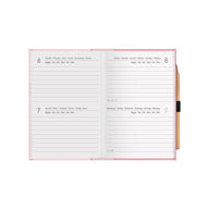 AGENDA 12 MESI BIGIORNALIERA MINI - 2021 - PANDA