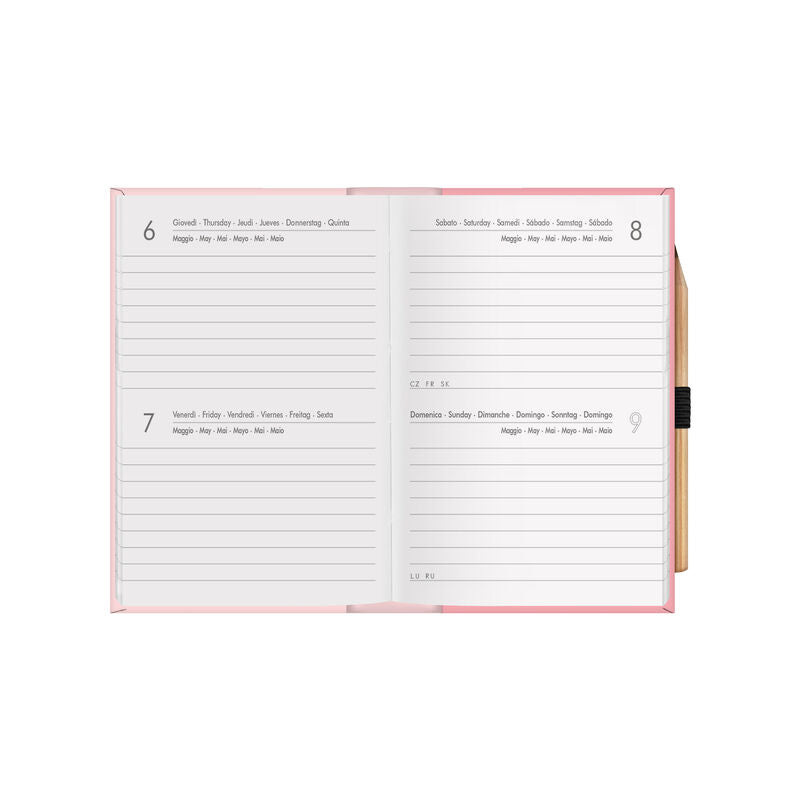 AGENDA 12 MESI BIGIORNALIERA MINI - 2021 - PANDA