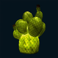 CACTUS LAMP - ESMERALDA GREEN