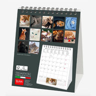 CALENDARIO 2020 DA TAVOLO CATS