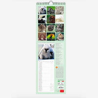 CALENDARIO 2020 20X49 BABY ANIMALS