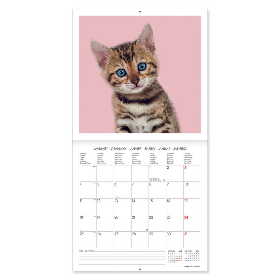 CALENDARIO 2021 UNCOATED PAPER - KITTENS