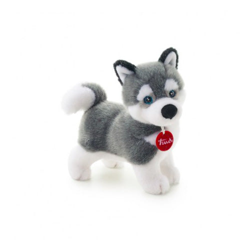 HUSKY MARCUS