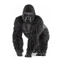 GORILLA MASCHIO
