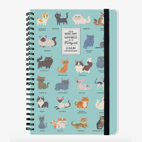 AGENDA 12 MESI SETTIMANALE LARGE SPIRALATA - 2019 - CAT