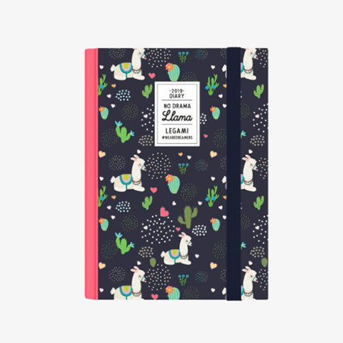 AGENDA 12 MESI GIORNALIERA SMALL - 2019 - LLAMA