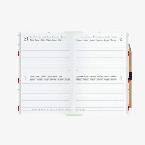 AGENDA 12 MESI BIGIORNALIERA MINI - 2019 - COCCINELLE