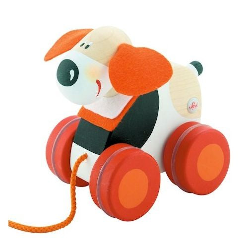 MINI TRAINABILE - MUCCA