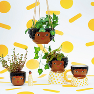 VASO CHANTELLE PLANTER